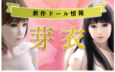 キャンペーン情報