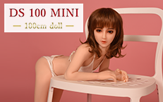 DS 100 MINI