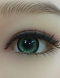 アイカラー(グリーン)